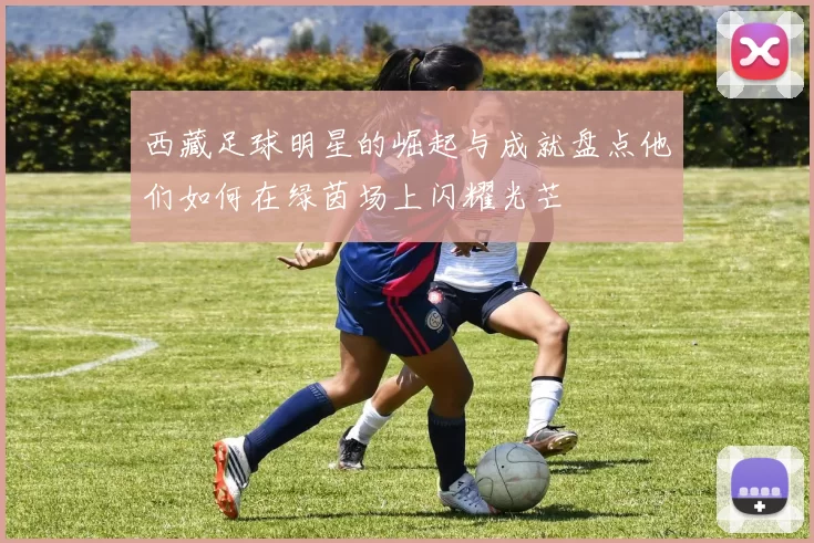 西藏足球明星的崛起与成就盘点他们如何在绿茵场上闪耀光芒