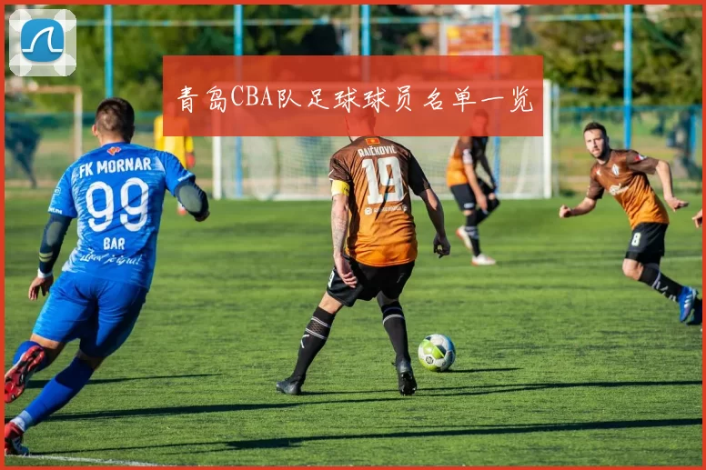 青岛CBA队足球球员名单一览