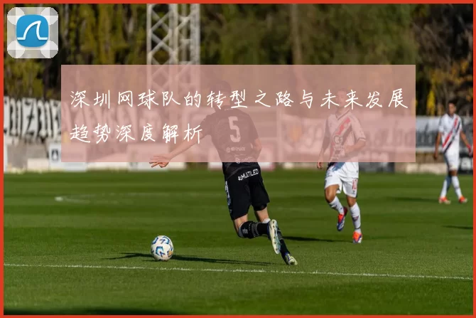 深圳网球队的转型之路与未来发展趋势深度解析