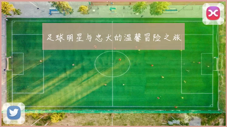 足球明星与忠犬的温馨冒险之旅