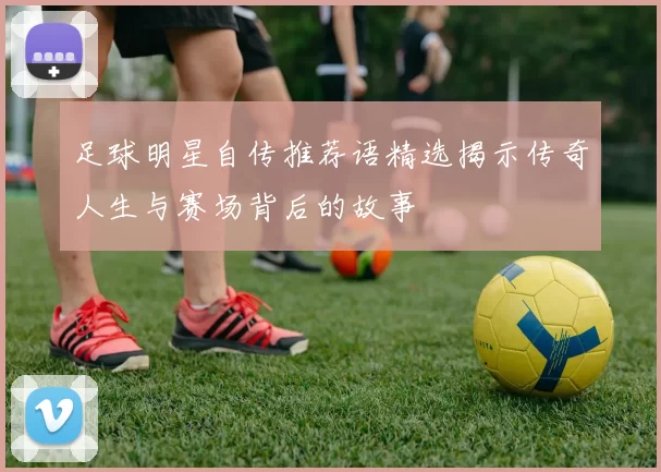 足球明星自传推荐语精选揭示传奇人生与赛场背后的故事