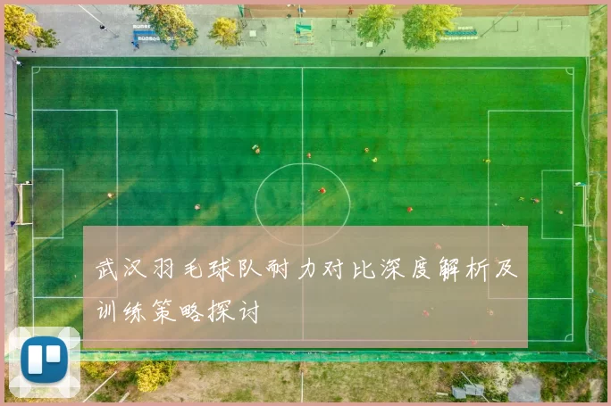 武汉羽毛球队耐力对比深度解析及训练策略探讨