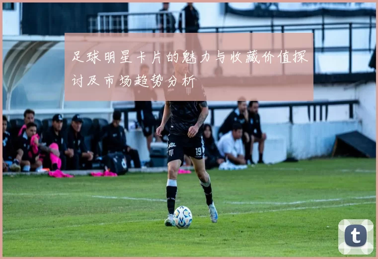 足球明星卡片的魅力与收藏价值探讨及市场趋势分析