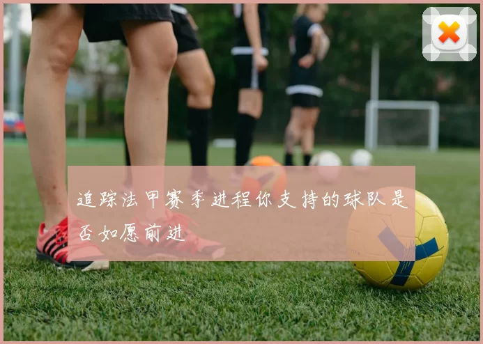 追踪法甲赛季进程你支持的球队是否如愿前进