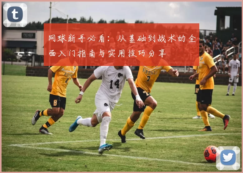 网球新手必看：从基础到战术的全面入门指南与实用技巧分享