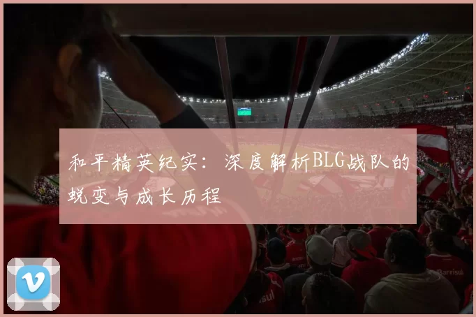 和平精英纪实：深度解析BLG战队的蜕变与成长历程