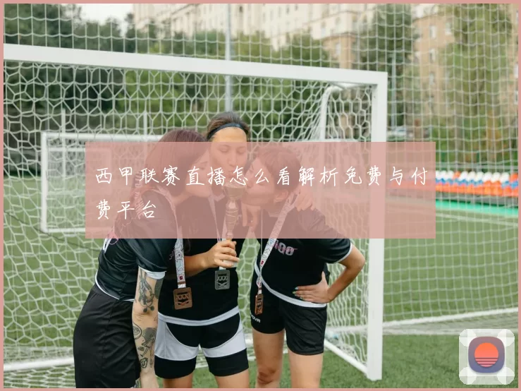 西甲联赛直播怎么看解析免费与付费平台