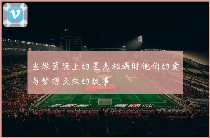 当绿茵场上的星光相遇时他们的爱与梦想交织的故事