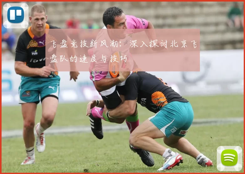 飞盘竞技新风潮：深入探讨北京飞盘队的速度与技巧